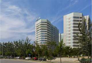 松江区节假日撸猫联系方式